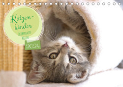 Katzenkinder – zauberhafte Wesen (Tischkalender 2024 DIN A5 quer), CALVENDO Monatskalender von Merk,  Angela
