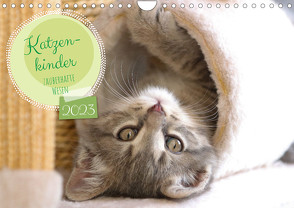 Katzenkinder – zauberhafte Wesen (Wandkalender 2023 DIN A4 quer) von Merk,  Angela