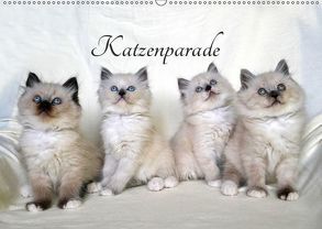 Katzenparade (Wandkalender 2019 DIN A2 quer) von Chrystal,  Jennifer