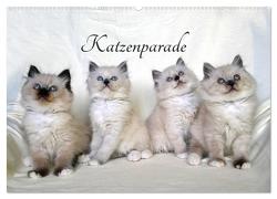 Katzenparade (Wandkalender 2024 DIN A2 quer), CALVENDO Monatskalender von Chrystal,  Jennifer