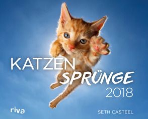 Katzensprünge 2018 von Casteel,  Seth