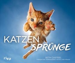 Katzensprünge von Casteel,  Seth