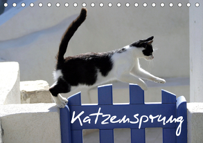 Katzensprung (Tischkalender 2020 DIN A5 quer) von Loos - www.shabbyflair.de,  Alexandra