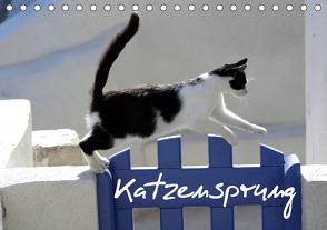 Katzensprung (Tischkalender 2021 DIN A5 quer) von Loos - www.shabbyflair.de,  Alexandra