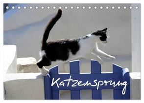 Katzensprung (Tischkalender 2024 DIN A5 quer), CALVENDO Monatskalender von Loos - www.shabbyflair.de,  Alexandra