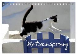 Katzensprung (Tischkalender 2024 DIN A5 quer), CALVENDO Monatskalender von Loos - www.shabbyflair.de,  Alexandra
