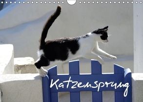 Katzensprung (Wandkalender 2018 DIN A4 quer) von Loos - www.shabbyflair.de,  Alexandra