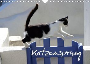 Katzensprung (Wandkalender 2019 DIN A4 quer) von Loos - www.shabbyflair.de,  Alexandra