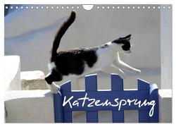 Katzensprung (Wandkalender 2024 DIN A4 quer), CALVENDO Monatskalender von Loos - www.shabbyflair.de,  Alexandra