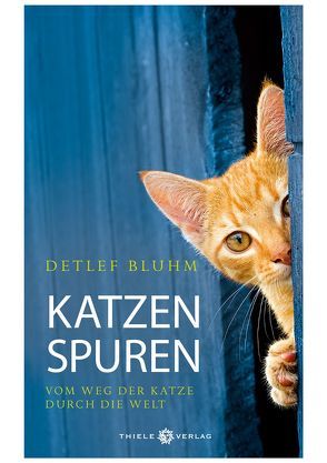 Katzenspuren von Bluhm,  Detlef