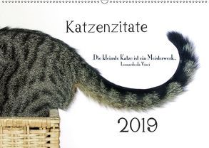 Katzenzitate 2019 (Wandkalender 2019 DIN A2 quer) von dogmoves
