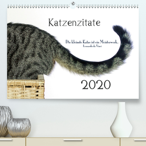 Katzenzitate 2020 (Premium, hochwertiger DIN A2 Wandkalender 2020, Kunstdruck in Hochglanz) von dogmoves