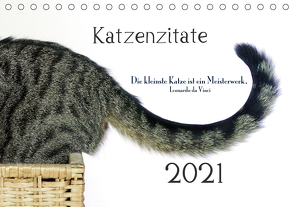 Katzenzitate 2021 (Tischkalender 2021 DIN A5 quer) von dogmoves