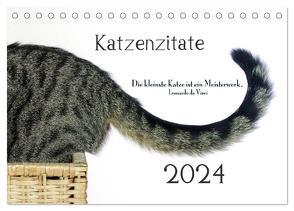 Katzenzitate 2024 (Tischkalender 2024 DIN A5 quer), CALVENDO Monatskalender von dogmoves,  dogmoves