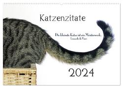 Katzenzitate 2024 (Wandkalender 2024 DIN A2 quer), CALVENDO Monatskalender von dogmoves,  dogmoves