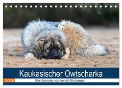 Kaukasischer Owtscharka (Tischkalender 2024 DIN A5 quer), CALVENDO Monatskalender von Mirsberger,  Annett
