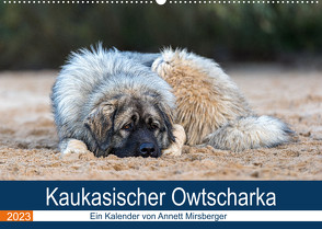 Kaukasischer Owtscharka (Wandkalender 2023 DIN A2 quer) von Mirsberger,  Annett