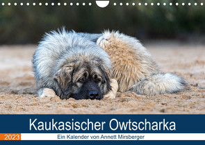 Kaukasischer Owtscharka (Wandkalender 2023 DIN A4 quer) von Mirsberger,  Annett