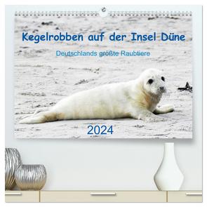 Kegelrobben auf der Insel Düne (hochwertiger Premium Wandkalender 2024 DIN A2 quer), Kunstdruck in Hochglanz von Wilhelm,  N.