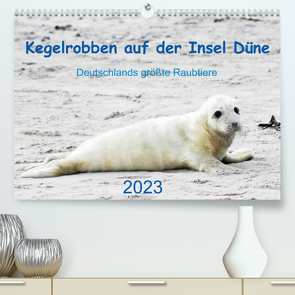 Kegelrobben auf der Insel Düne (Premium, hochwertiger DIN A2 Wandkalender 2023, Kunstdruck in Hochglanz) von Wilhelm,  N.