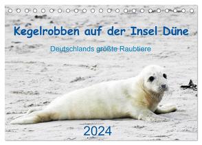 Kegelrobben auf der Insel Düne (Tischkalender 2024 DIN A5 quer), CALVENDO Monatskalender von Wilhelm,  N.