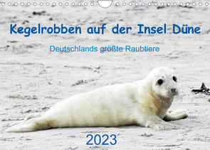 Kegelrobben auf der Insel Düne (Wandkalender 2023 DIN A4 quer) von Wilhelm,  N.