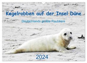 Kegelrobben auf der Insel Düne (Wandkalender 2024 DIN A3 quer), CALVENDO Monatskalender von Wilhelm,  N.