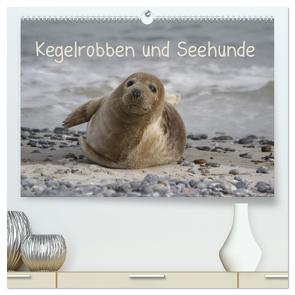 Kegelrobben und Seehunde (hochwertiger Premium Wandkalender 2024 DIN A2 quer), Kunstdruck in Hochglanz von Lindert-Rottke,  Antje