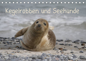 Kegelrobben und Seehunde (Tischkalender 2022 DIN A5 quer) von Lindert-Rottke,  Antje