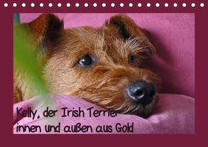 Kelly, der Irish Terrier – innen und außen aus Gold (Tischkalender 2019 DIN A5 quer) von Schimon,  Claudia