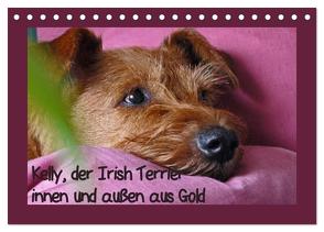 Kelly, der Irish Terrier – innen und außen aus Gold (Tischkalender 2024 DIN A5 quer), CALVENDO Monatskalender von Schimon,  Claudia