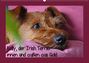 Kelly, der Irish Terrier – innen und außen aus Gold (Wandkalender 2020 DIN A2 quer) von Schimon,  Claudia