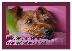 Kelly, der Irish Terrier – innen und außen aus Gold (Wandkalender 2024 DIN A2 quer), CALVENDO Monatskalender von Schimon,  Claudia