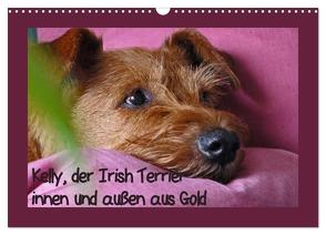 Kelly, der Irish Terrier – innen und außen aus Gold (Wandkalender 2024 DIN A3 quer), CALVENDO Monatskalender von Schimon,  Claudia