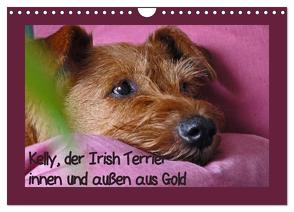 Kelly, der Irish Terrier – innen und außen aus Gold (Wandkalender 2024 DIN A4 quer), CALVENDO Monatskalender von Schimon,  Claudia
