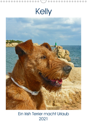 Kelly – Ein Irish Terrier macht Urlaub (Wandkalender 2021 DIN A3 hoch) von Schimon,  Claudia