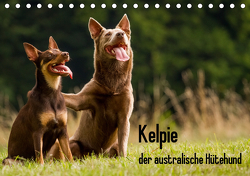 Kelpie – der australische Hütehund (Tischkalender 2021 DIN A5 quer) von Brickum,  Cornelia