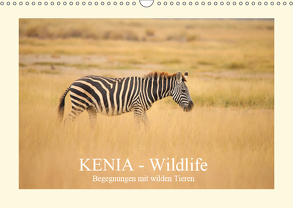 KENIA Wildlife – Begegnungen mit wilden Tieren (Wandkalender 2019 DIN A3 quer) von Demel,  Andreas