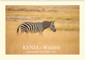 KENIA Wildlife – Begegnungen mit wilden Tieren (Wandkalender 2020 DIN A2 quer) von Demel,  Andreas