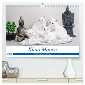 Khao Manee – Die Katze der Könige (hochwertiger Premium Wandkalender 2024 DIN A2 quer), Kunstdruck in Hochglanz von Verena Scholze,  Fotodesign