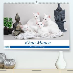 Khao Manee – Die Katze der Könige (Premium, hochwertiger DIN A2 Wandkalender 2022, Kunstdruck in Hochglanz) von Verena Scholze,  Fotodesign