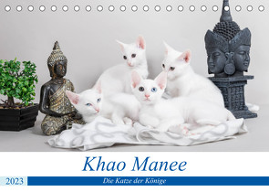 Khao Manee – Die Katze der Könige (Tischkalender 2023 DIN A5 quer) von Verena Scholze,  Fotodesign