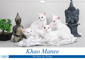 Khao Manee – Die Katze der Könige (Wandkalender 2023 DIN A4 quer) von Verena Scholze,  Fotodesign