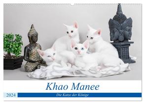 Khao Manee – Die Katze der Könige (Wandkalender 2024 DIN A2 quer), CALVENDO Monatskalender von Verena Scholze,  Fotodesign