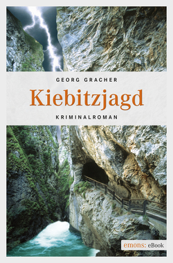 Kiebitzjagd von Gracher,  Georg