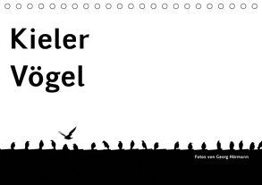 Kieler Vögel (Tischkalender 2019 DIN A5 quer) von Hörmann,  Georg
