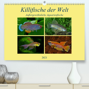 Killifische der WeltCH-Version (Premium, hochwertiger DIN A2 Wandkalender 2021, Kunstdruck in Hochglanz) von Pohlmann,  Rudolf