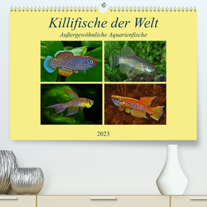 Killifische der WeltCH-Version (Premium, hochwertiger DIN A2 Wandkalender 2023, Kunstdruck in Hochglanz) von Pohlmann,  Rudolf