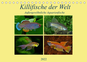 Killifische der WeltCH-Version (Tischkalender 2022 DIN A5 quer) von Pohlmann,  Rudolf