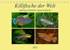 Killifische der WeltCH-Version (Tischkalender 2023 DIN A5 quer) von Pohlmann,  Rudolf